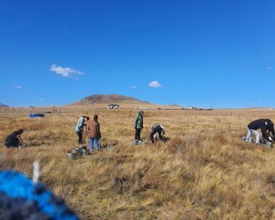 YMCA Mongolia “Green Heroes” project